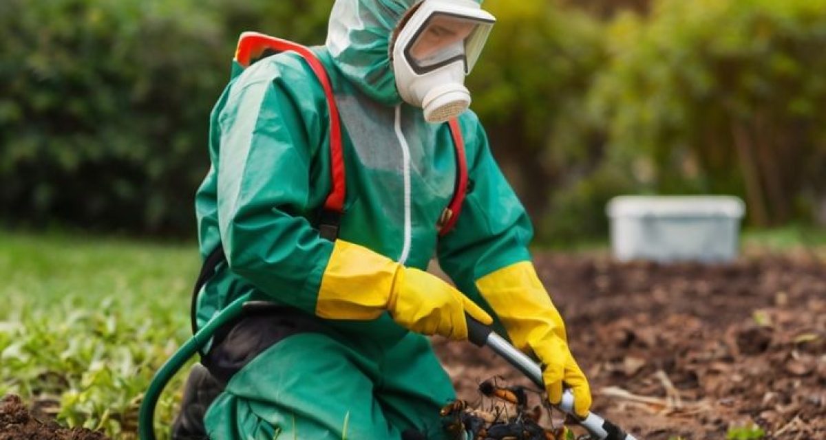 Enhace the beauty of life with UrbanMop